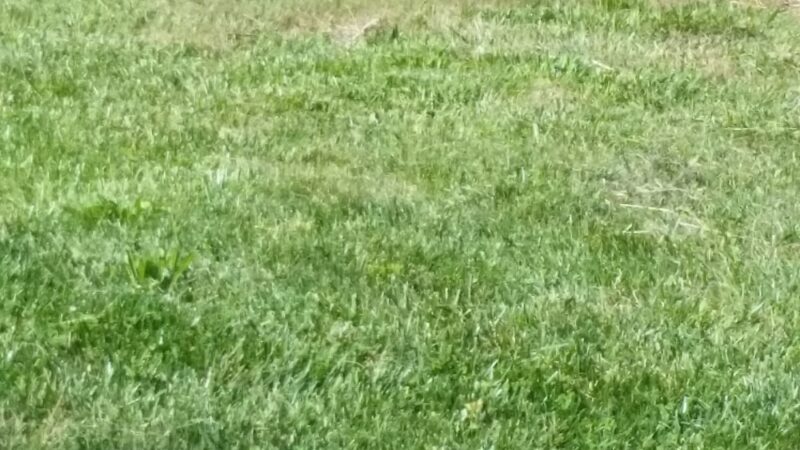 Herbert Park - Lincoln, NE