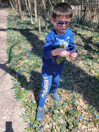 Maple Lodge Pocket Park - Lincoln, NE