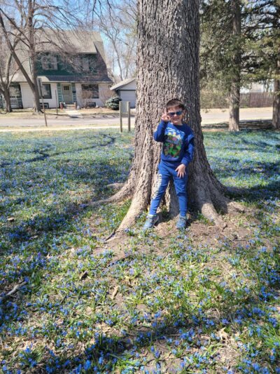 Maple Lodge Pocket Park - Lincoln, NE