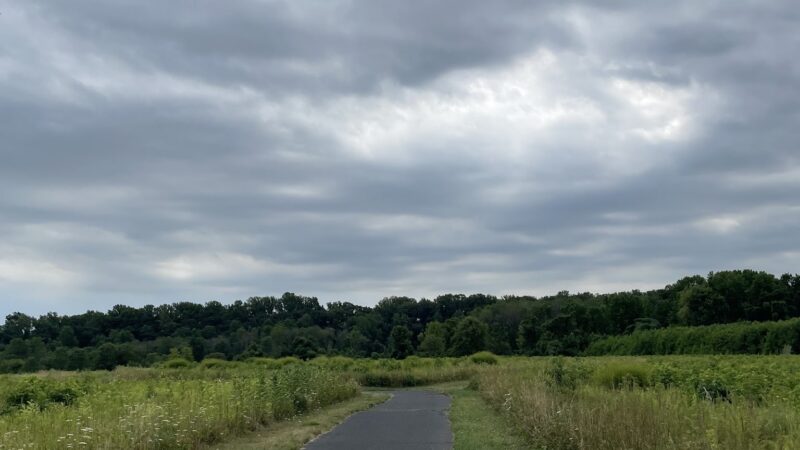 The Lexi Trail - Lincroft, NJ