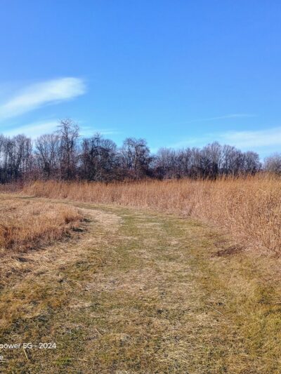 The Lexi Trail - Lincroft, NJ