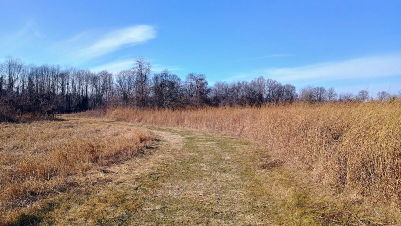 The Lexi Trail - Lincroft, NJ