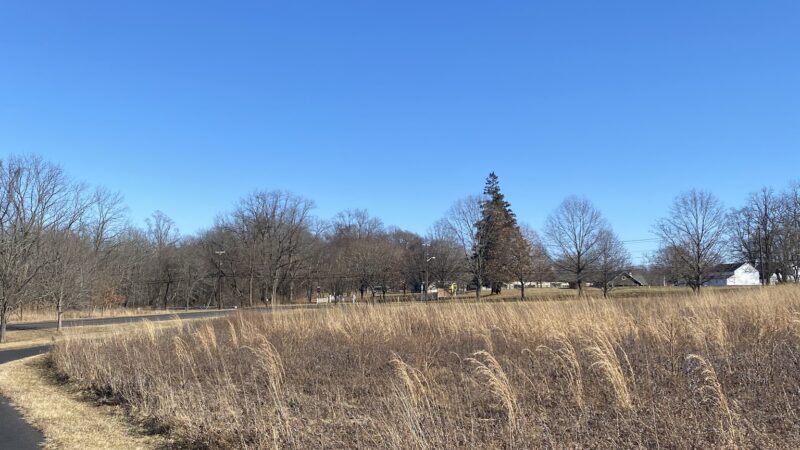 The Lexi Trail - Lincroft, NJ