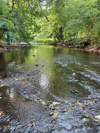 Kayak Launch - Linden, NJ