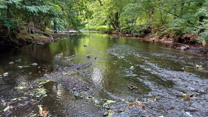 Kayak Launch - Linden, NJ