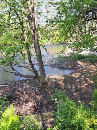 Bending River Estates - Lindley, NY