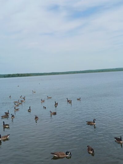 Spillway Trail - Pymatuning State Park - Linesville, PA