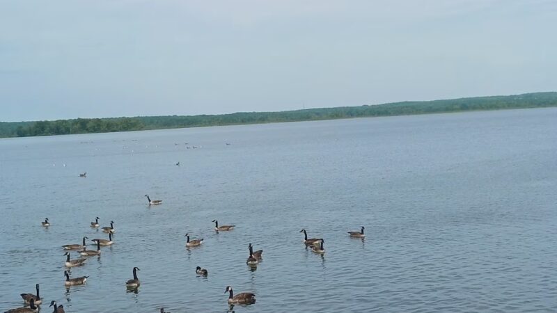 Spillway Trail - Pymatuning State Park - Linesville, PA