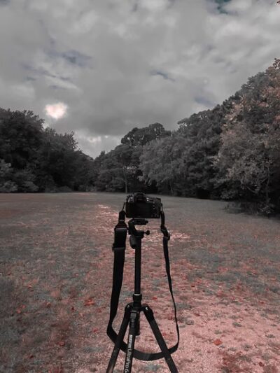 SJI Park - Linwood, NJ