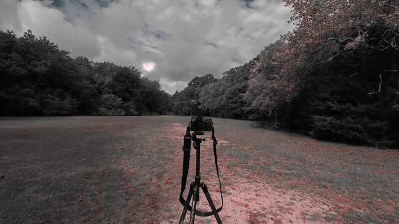 SJI Park - Linwood, NJ