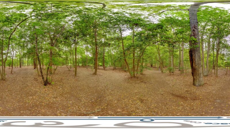 SJI Park - Linwood, NJ