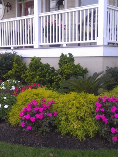 SJI Park - Linwood, NJ