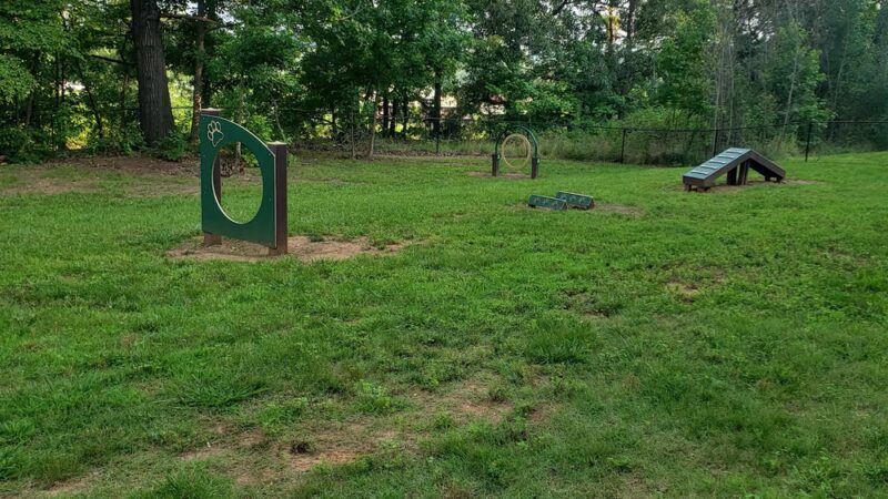 Yadkin dog park - Linwood, NC