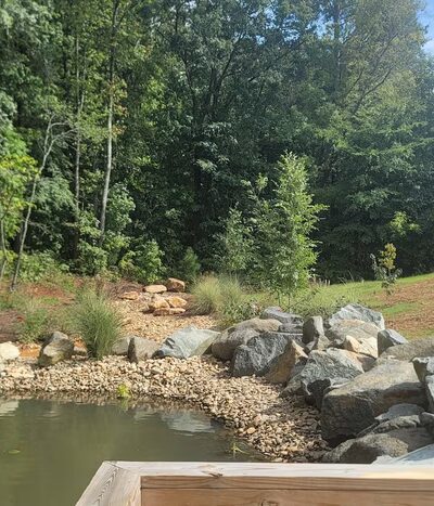 Yadkin dog park - Linwood, NC