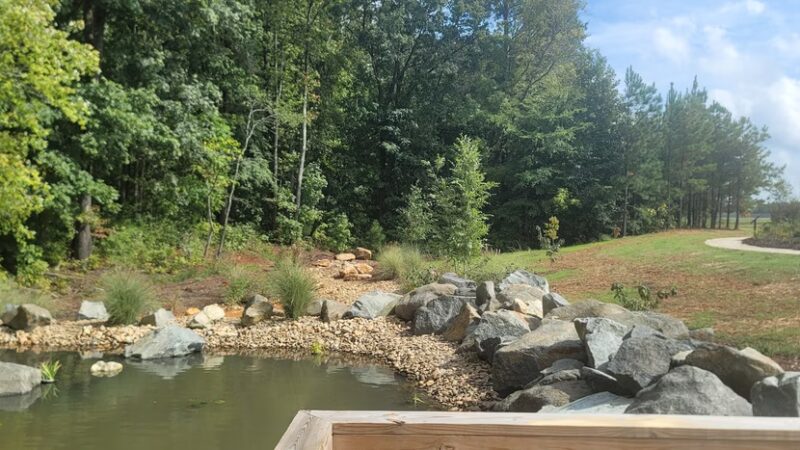 Yadkin dog park - Linwood, NC