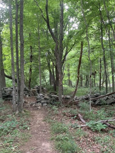 Burnham Tavern Trail (Parking) - Lisbon, CT