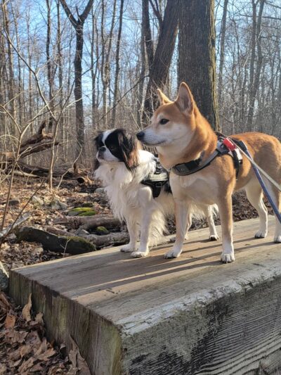 Burnham Tavern Trail (Parking) - Lisbon, CT