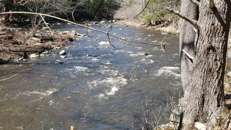 Papermill Trail / Miller Park - Lisbon, ME