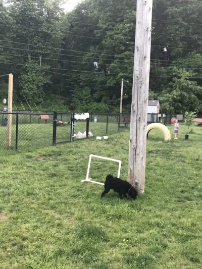 Lisbon Dog Park - Lisbon, OH