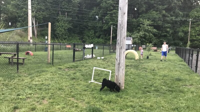 Lisbon Dog Park - Lisbon, OH