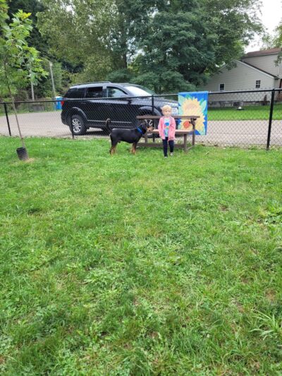 Lisbon Dog Park - Lisbon, OH