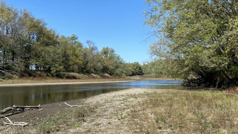Forest Reserve - Liscomb, IA