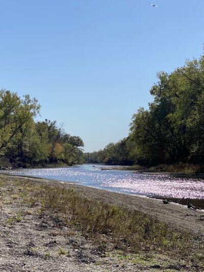 Forest Reserve - Liscomb, IA