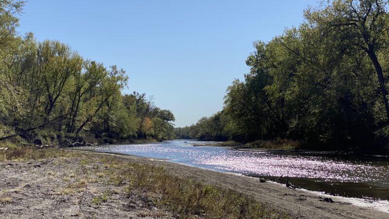 Forest Reserve - Liscomb, IA