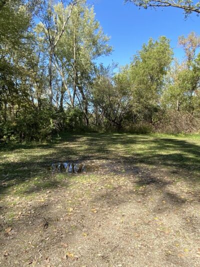 Forest Reserve - Liscomb, IA