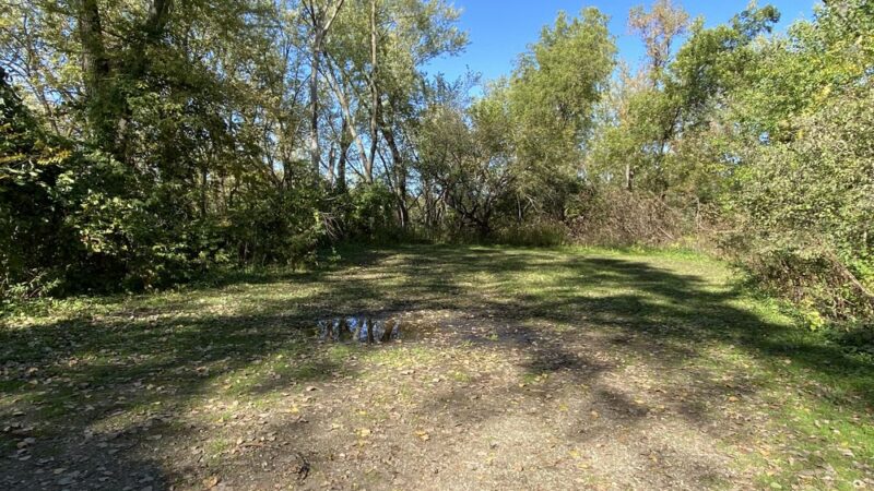 Forest Reserve - Liscomb, IA