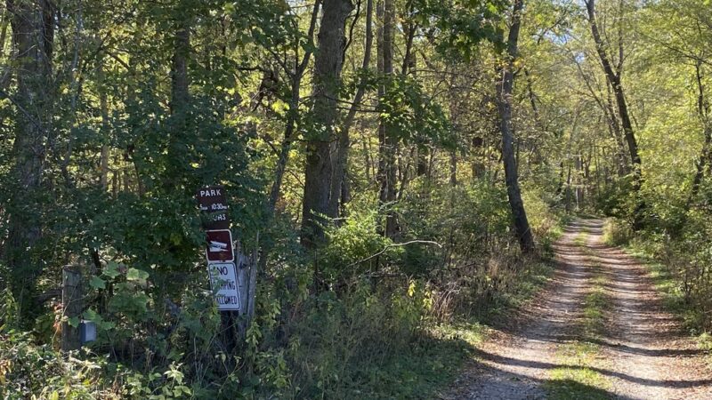 Forest Reserve - Liscomb, IA
