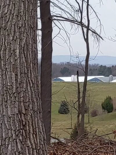 Horseshoe Trail - Lititz, PA