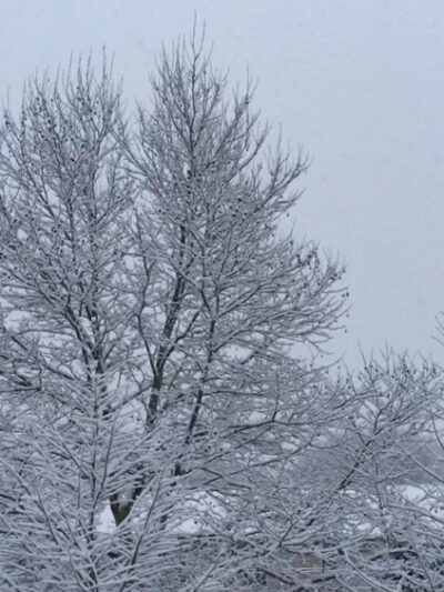 Nature Trail - Lititz, PA