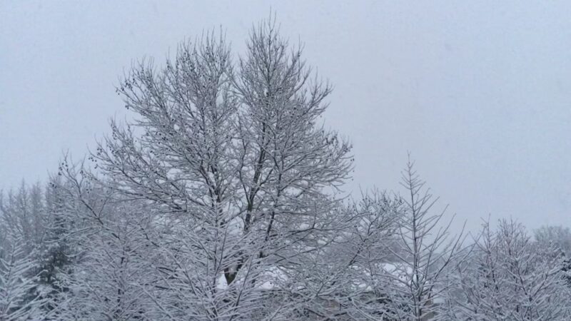 Nature Trail - Lititz, PA