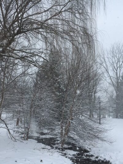 Nature Trail - Lititz, PA