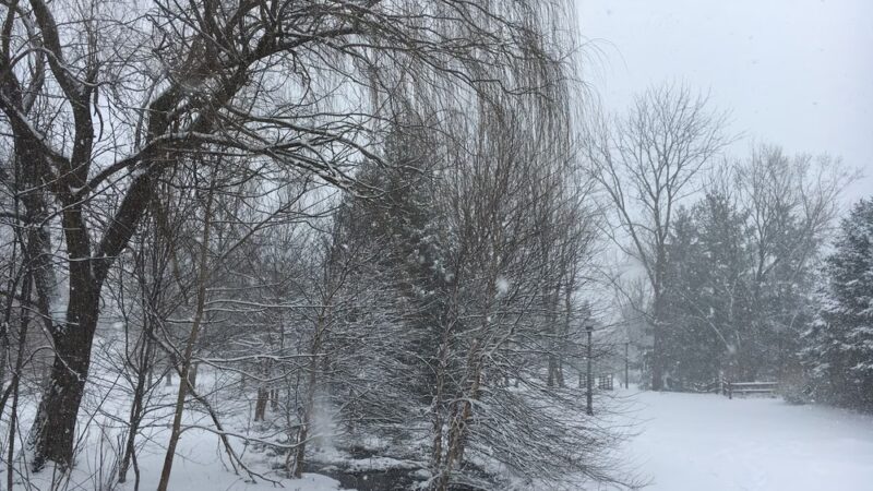 Nature Trail - Lititz, PA