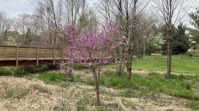 Nature Trail - Lititz, PA