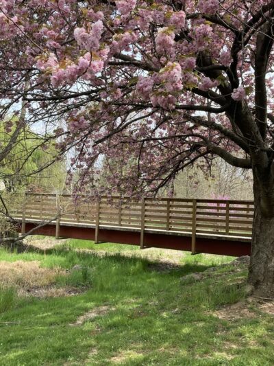 Nature Trail - Lititz, PA