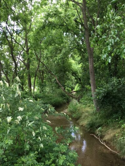 Newport Square Trail - Lititz, PA