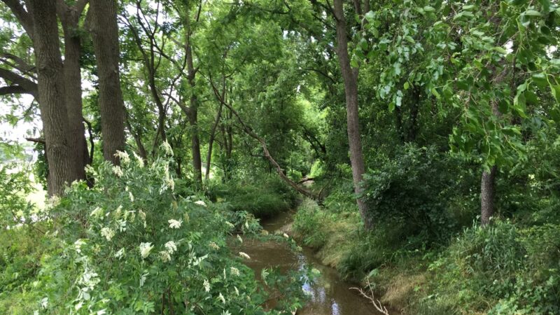 Newport Square Trail - Lititz, PA