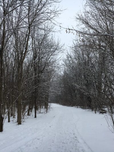 Newport Square Trail - Lititz, PA