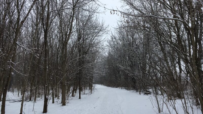 Newport Square Trail - Lititz, PA