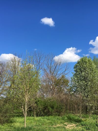 Newport Square Trail - Lititz, PA