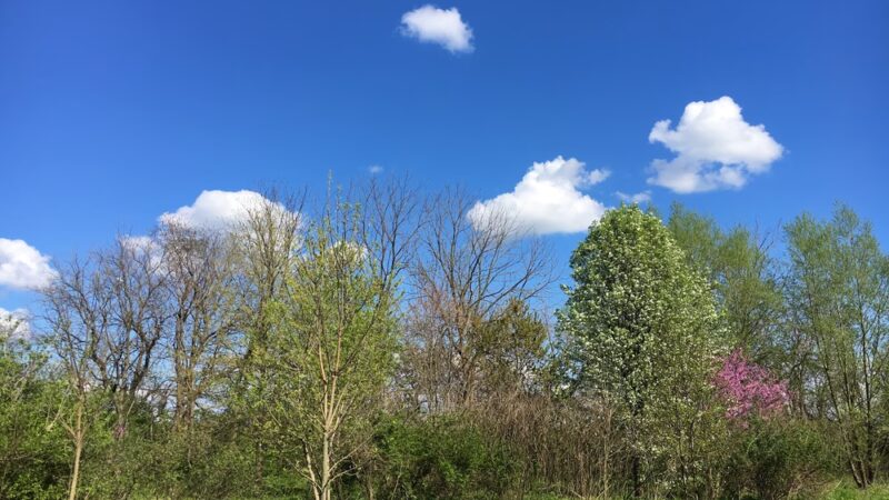 Newport Square Trail - Lititz, PA