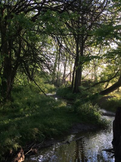 Newport Square Trail - Lititz, PA