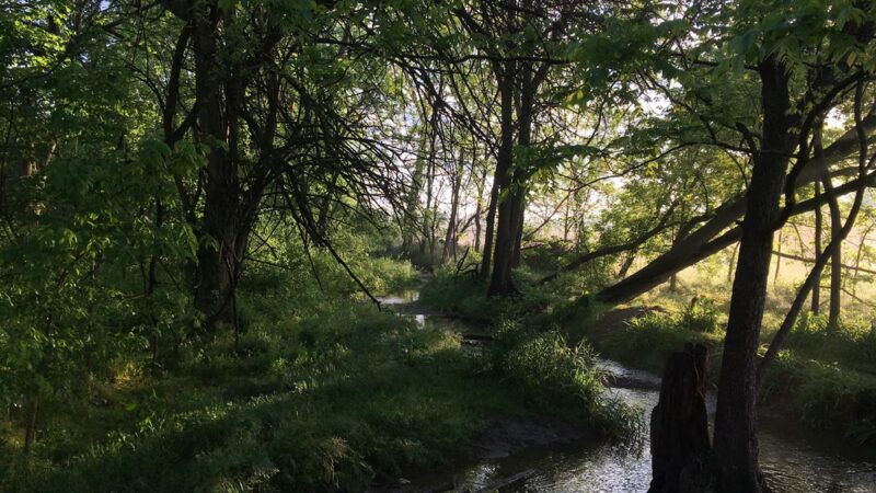 Newport Square Trail - Lititz, PA