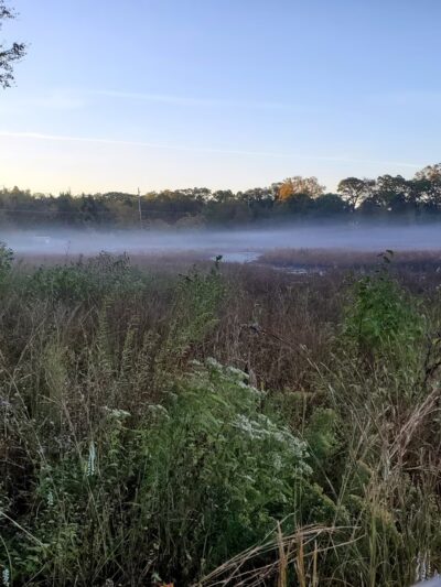 Cranberry Creek Pet Lodging - Little Egg Harbor Township, NJ