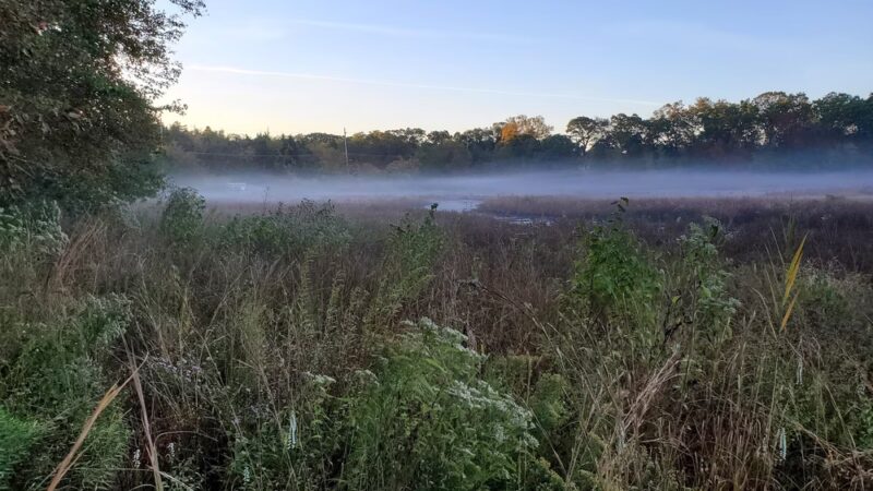 Cranberry Creek Pet Lodging - Little Egg Harbor Township, NJ