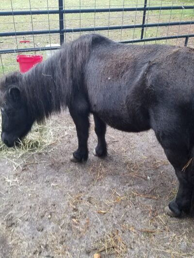 Cranberry Creek Pet Lodging - Little Egg Harbor Township, NJ