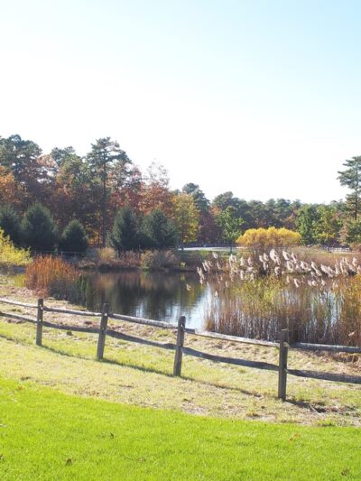 Freedom Fields County Park - Little Egg Harbor Township, NJ